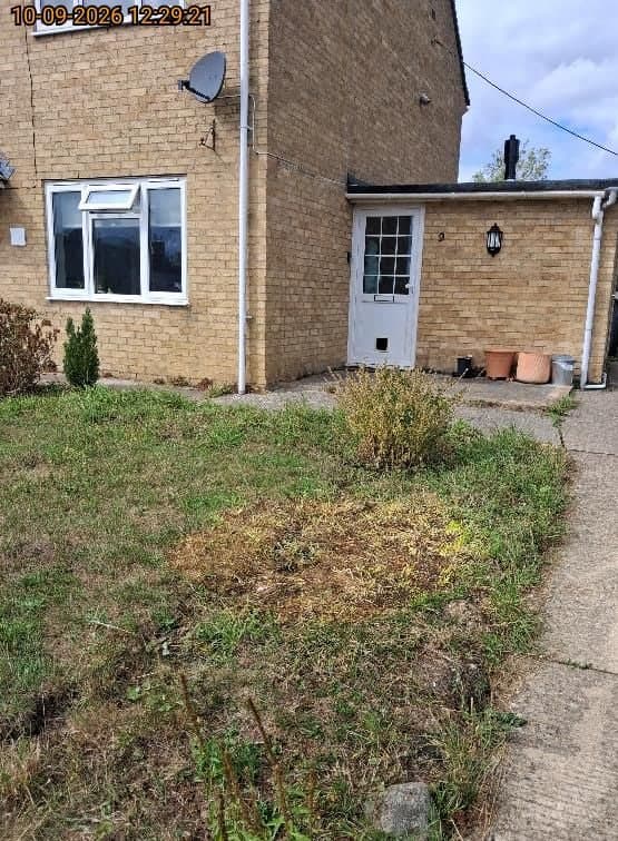 Overgrown scrubby front garden of a brick house before a garden tidy and clearance