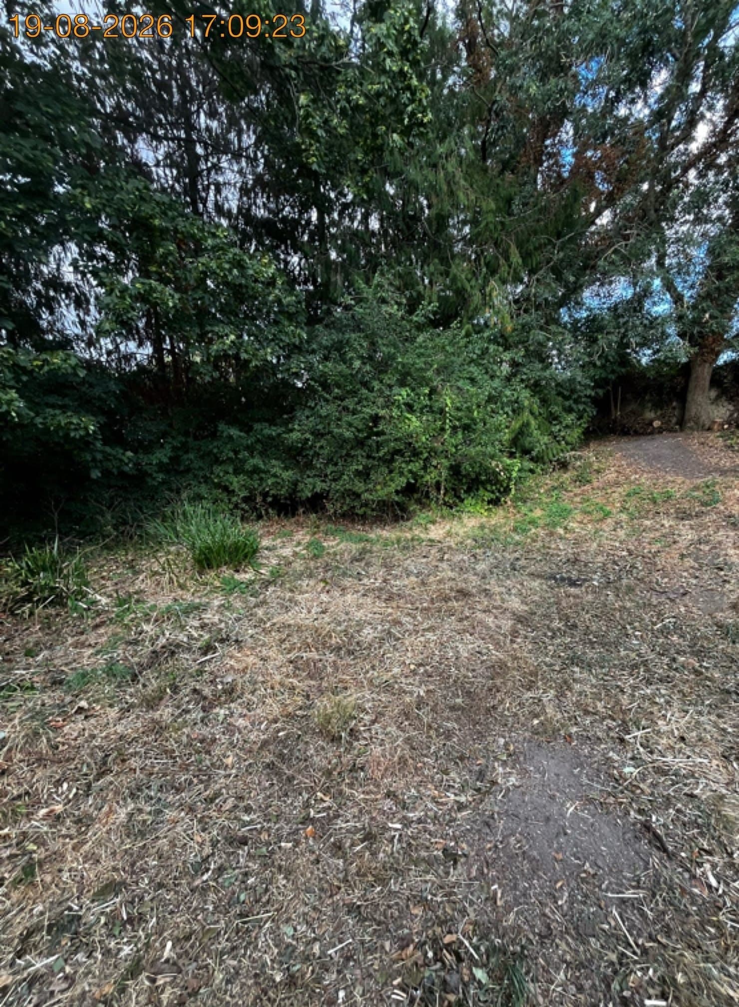 Overgrown garden clearance, Aylesbury after clearance