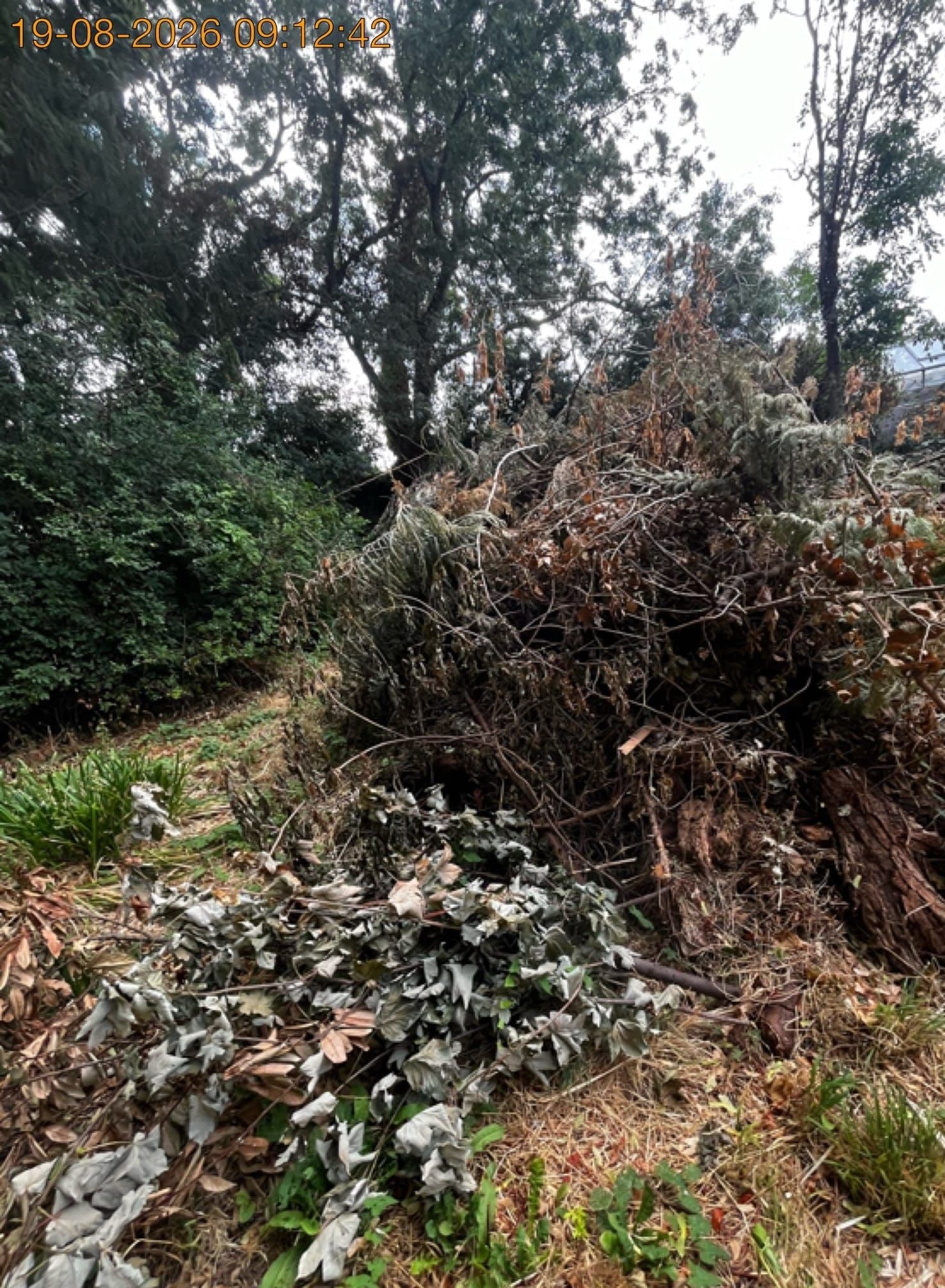 Garden Waste collection and removal