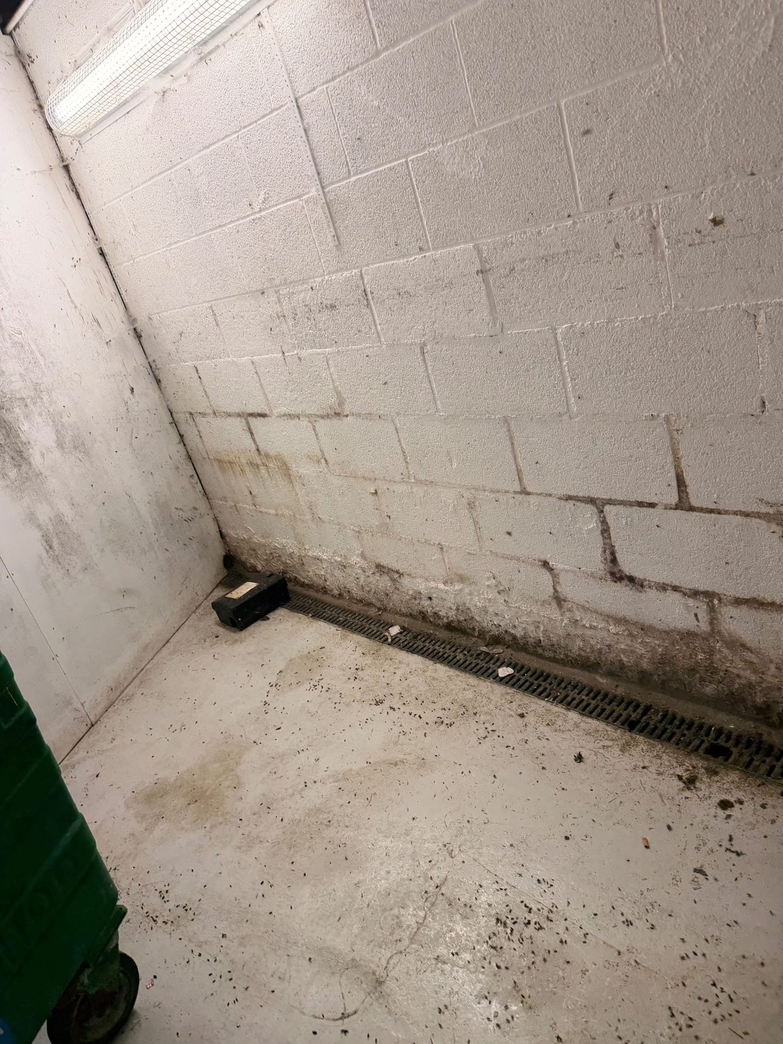 Emptied and swept bin room with clean concrete floor and drainage channel