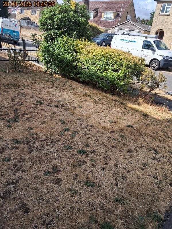 Front garden with trimmed hedge and railings left clear and tidy after a clearance