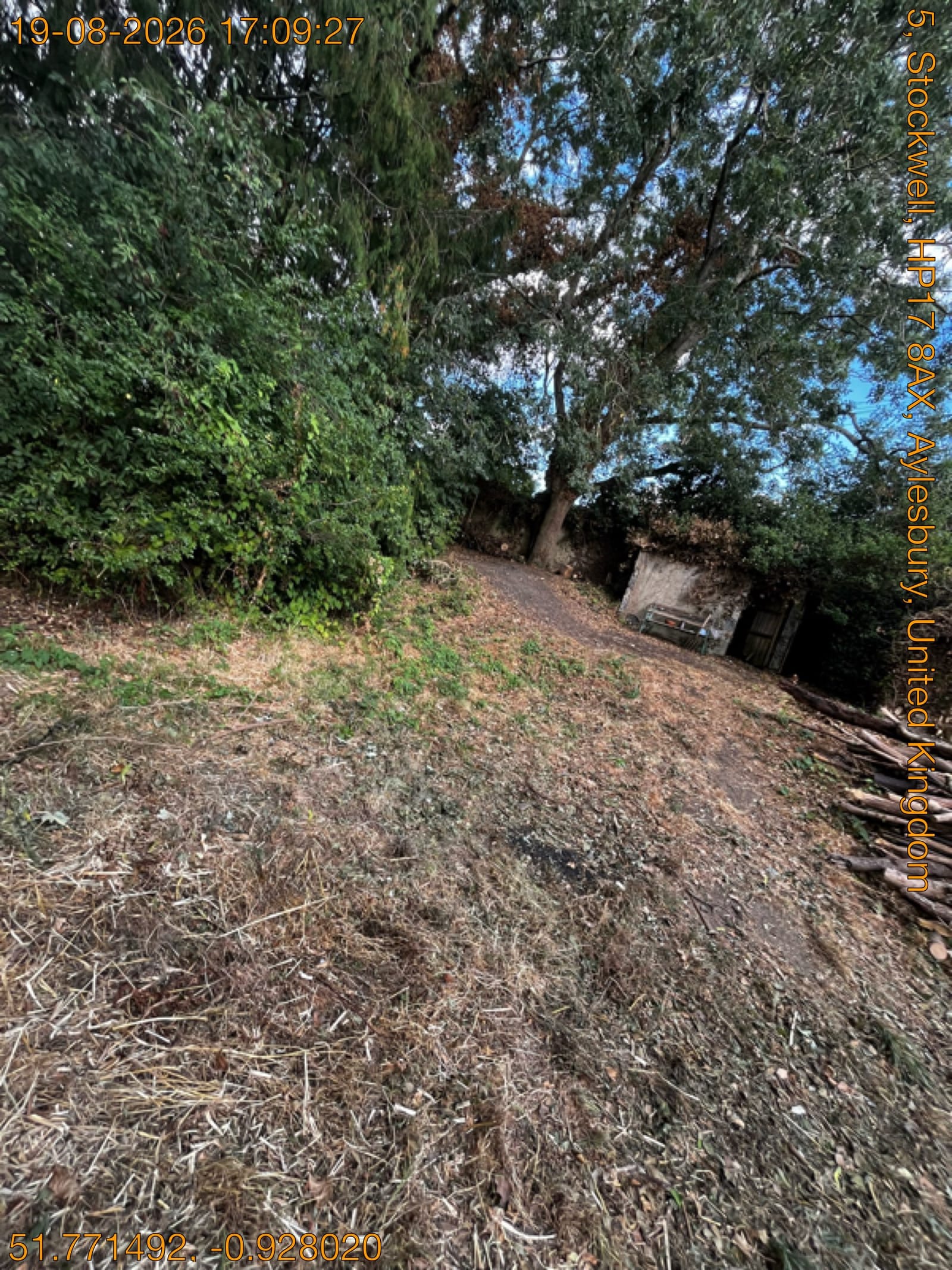 Cut-back woodland garden plot with a clear path and stacked logs after a full green waste clearance