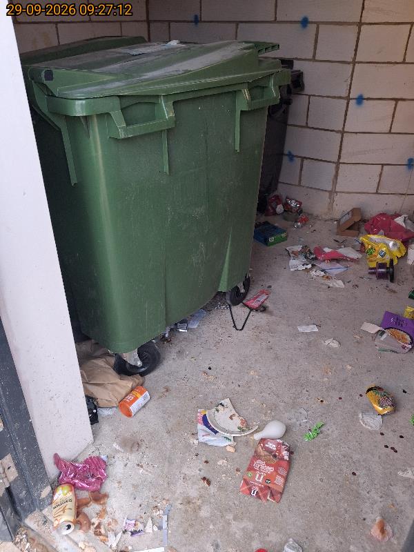 Communal bin store litter cleared, Thame before clearance